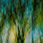 Rock Creek Silhouette<br>Trees I - 1992