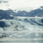 John Hopkins Glacier<br>Glacier Bay - 2012