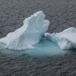 Dancing<br>Icebergs – 2014