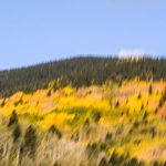 Aspen Turning<br>Aspen Turning, Santa Fe Mountain II — 2018